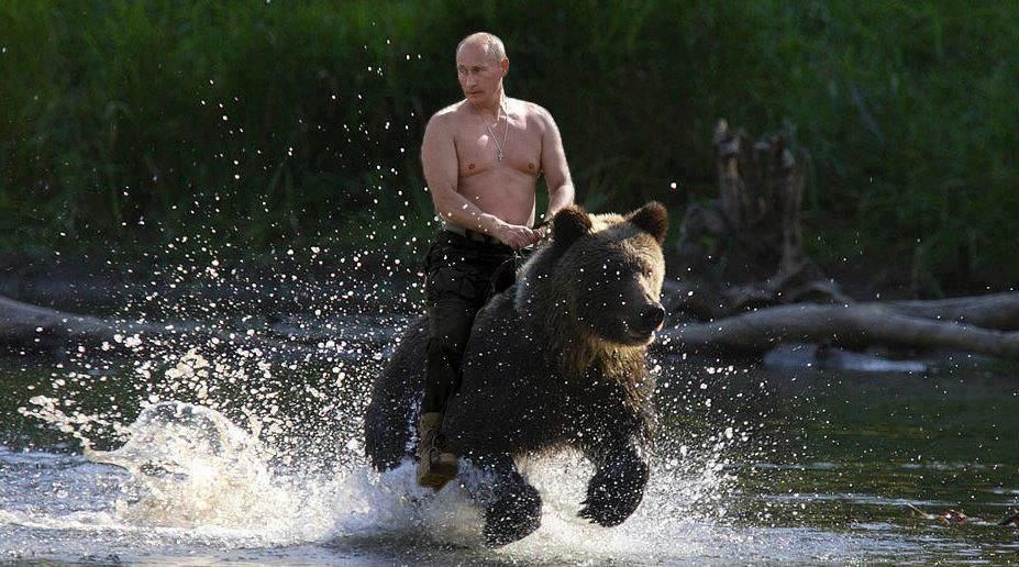 Putin-bear