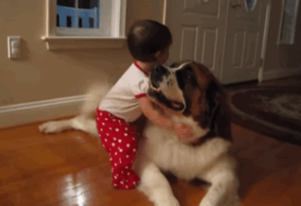 Animated Hugging Dogs Gif - PUPPY CUTE DOG
