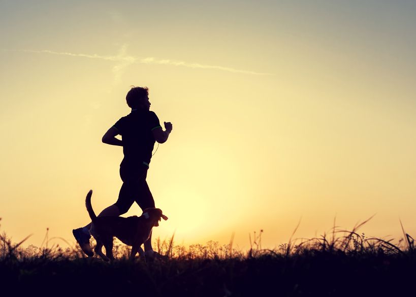 Evening jogging walk with a dog silhouettes