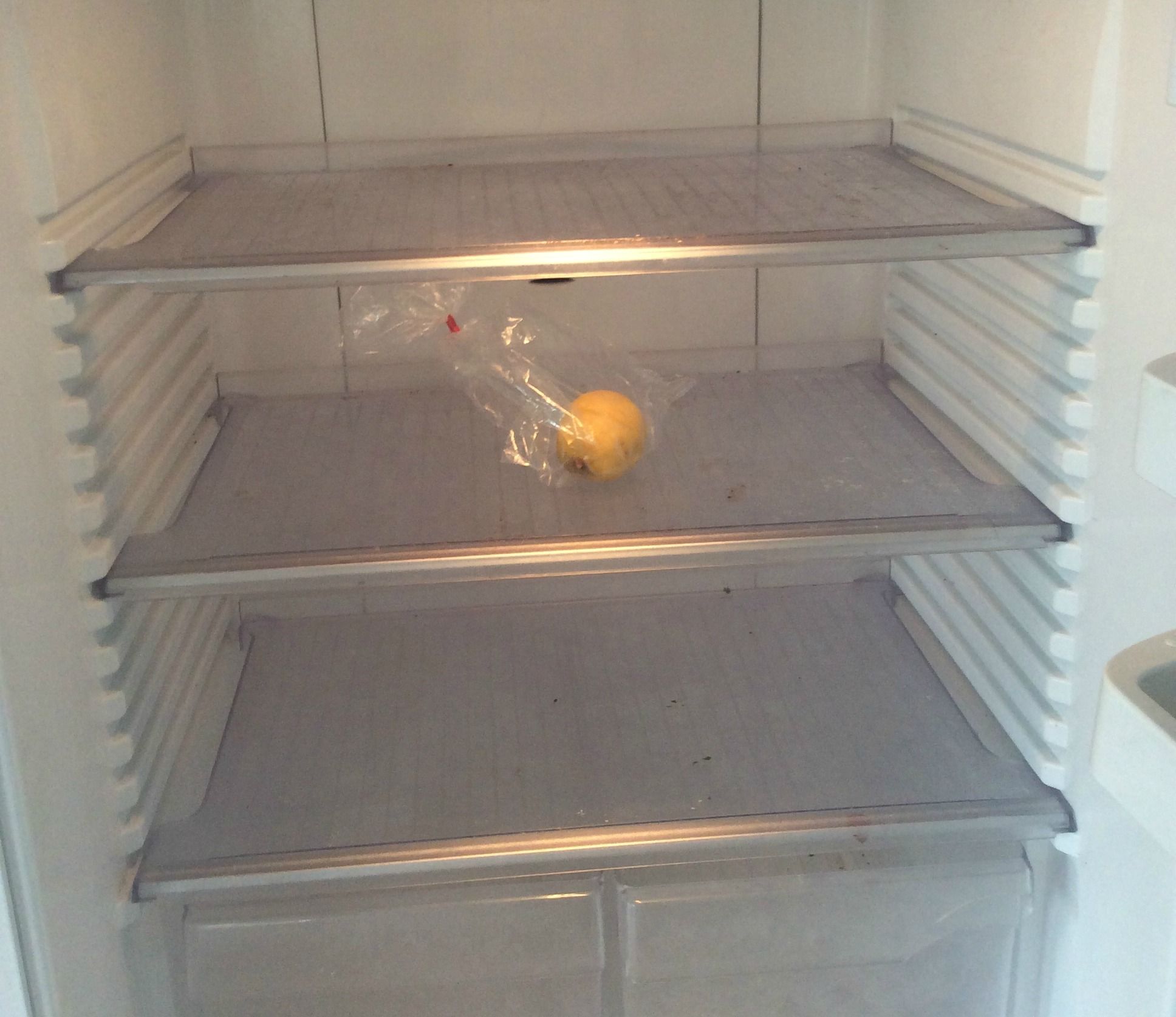 Empty_fridge