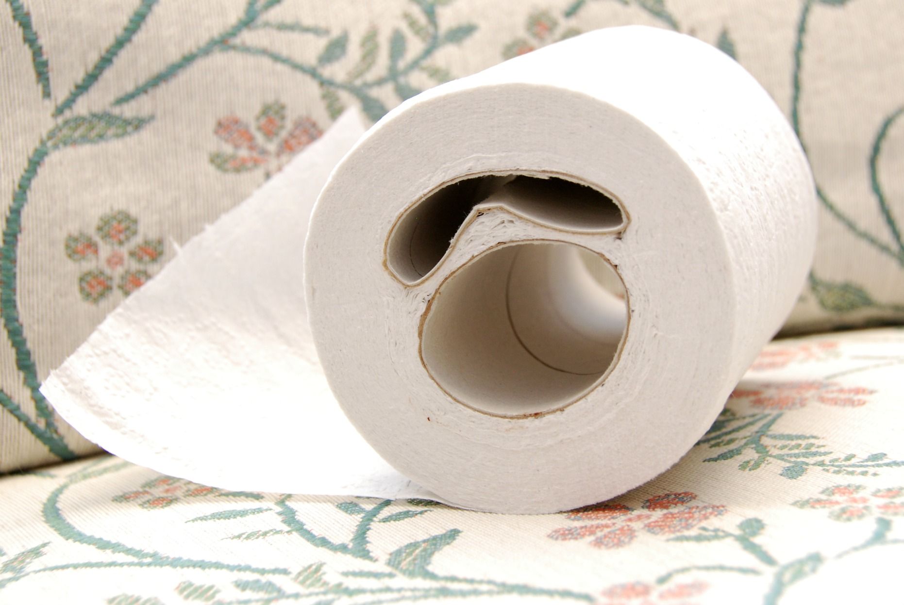 Toilet_paper_roll_with_two_cardboard_tubes_(6785179871)