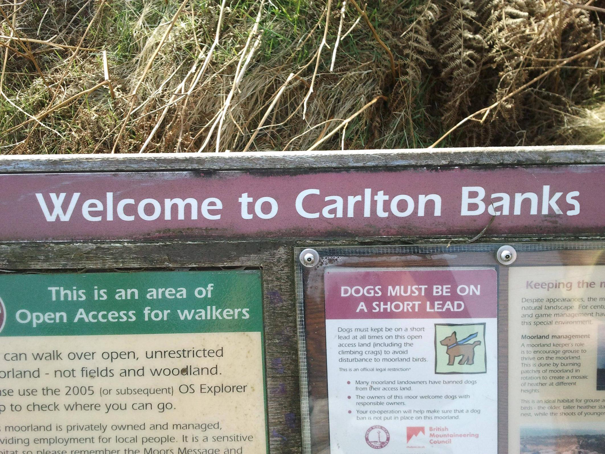 carlton banks