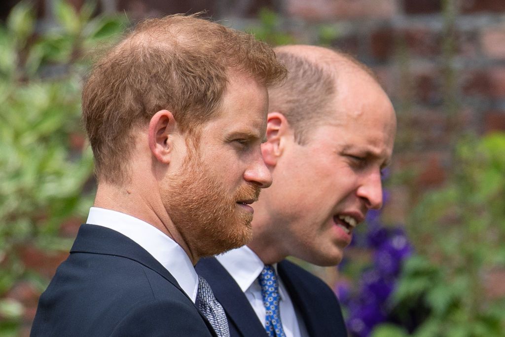 Prince Harry has admitted the pair are on 'different paths' 