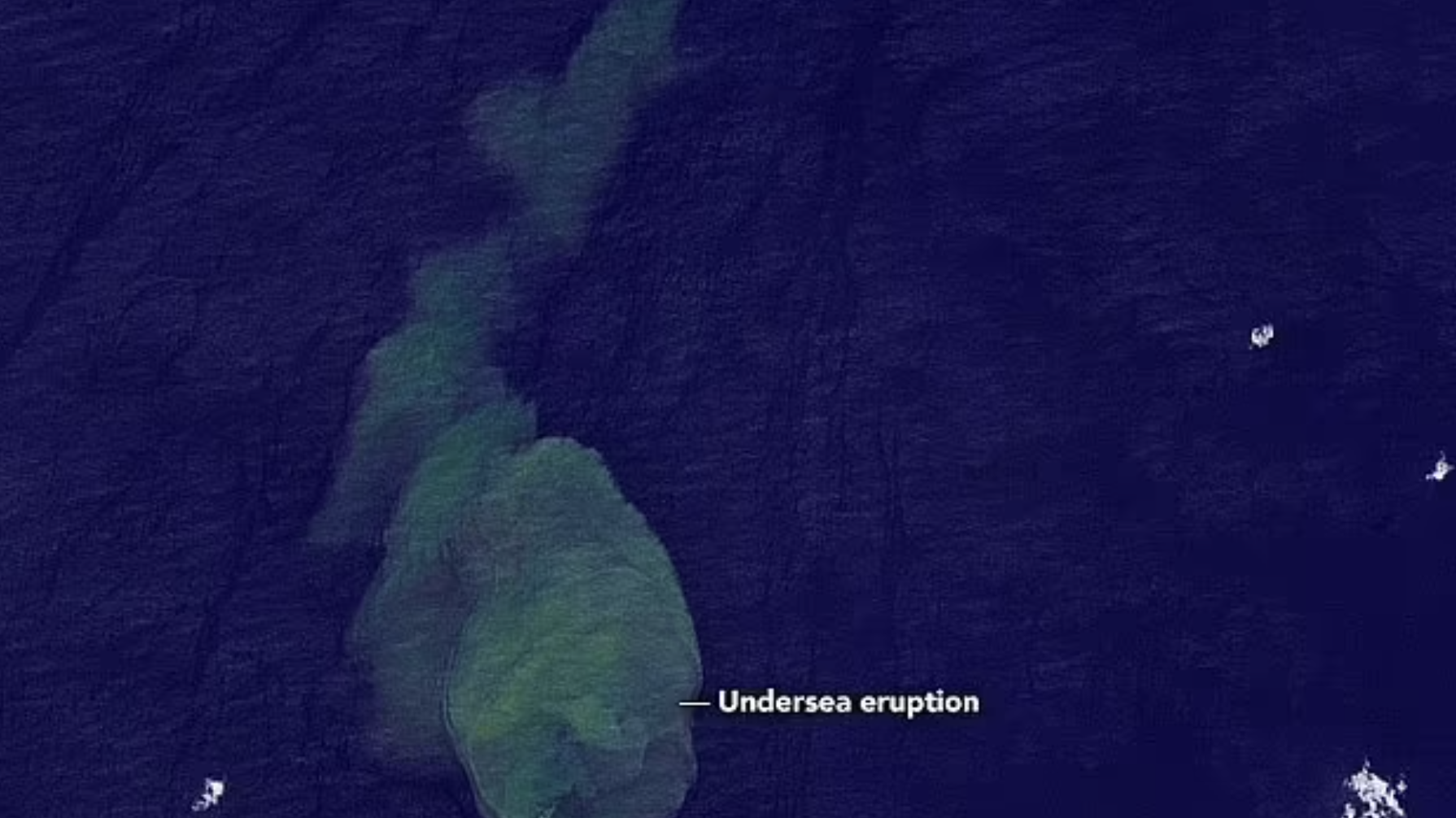 https://www.nationalgeographic.com/animals/article/sharks-underwater-volcano-sharkcano-kavachi